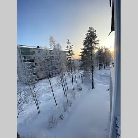 Bright City With Own Private Sauna * Rovaniemi