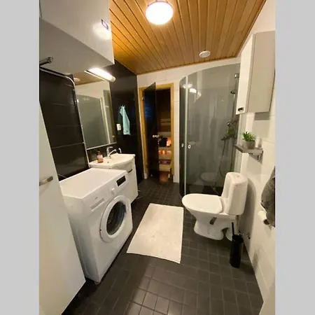 Bright City With Own Private Sauna Appartement Rovaniemi